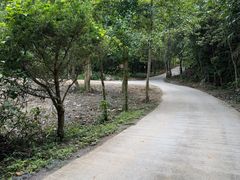-牛角寨瀑布群景区