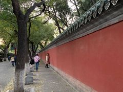 -北京国子监胡同