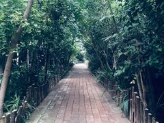 -呀路古热带植物园