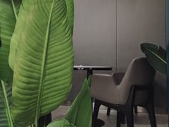 等位区-森茶(湛江万达店)