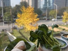 -烹然四季椰子鸡火锅(团结湖总店)