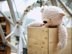 -济州岛泰迪熊博物馆