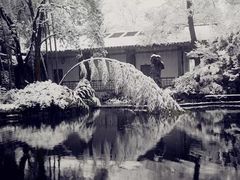 -南山植物园