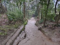 -青城山