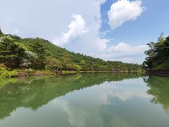 -广州白江湖森林公园