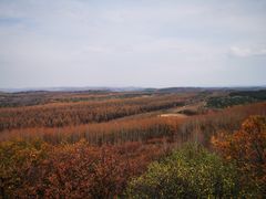 -塞罕坝国家级自然保护区