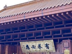 -深圳仙湖植物园
