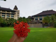 -海南清水湾莱佛士酒店