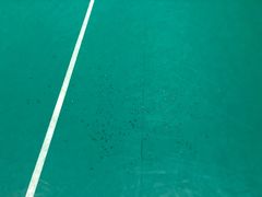 -文建中学羽毛球馆