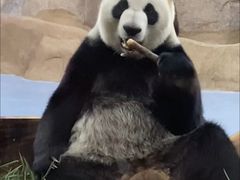 -无锡动物园·太湖欢乐园