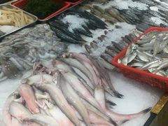 -海蓝海鲜馆(五四北店)