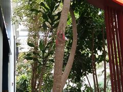 -滕头生态酒店(奉化店)