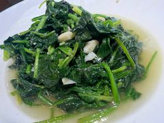 -木子山庄·安徽省老字号·中国炖锅宴