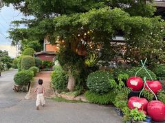 -Ohkajhu Organic Farm Sansai