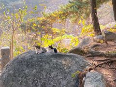 -崂山仰口游览区