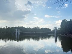 -东湖落雁景区