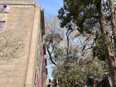 -武汉大学-樱园