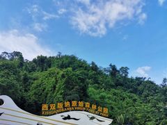 -西双版纳原始森林公园