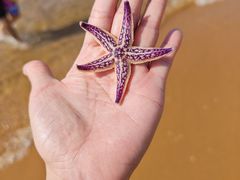 -威海国际海水浴场旅游区