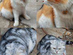 -李叔同故居纪念馆