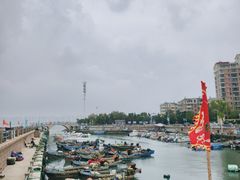 -悦海公园