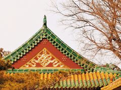 -颐和园