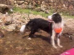 -安吉龙王山峡谷漂流