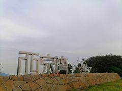 -西京湾花海