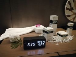 -VELEE·SPA高定疗愈会所