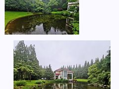 -上海怡沁园度假酒店