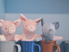 -WHEN PIGS FLY当猪飞