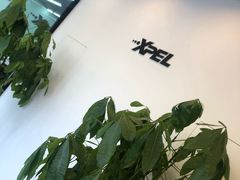 -XPEL旗舰店·汽车贴膜·隐形车衣·改色贴膜
