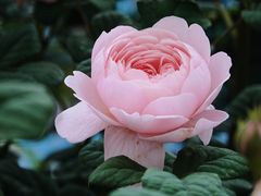 -奉浦四季生态园