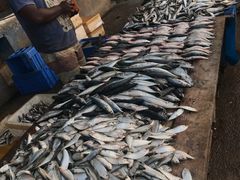 -尼甘布海鲜市场