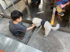 -王歘歘·chuǎ火锅(五道营店)