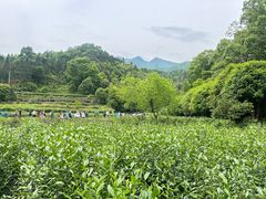 -石台牯牛降景区