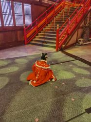 -支流映画·汉服妆造跟拍(本宫来了大唐不夜城店)