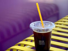 酸梅美式-HANA COFFEE(长寿路店)