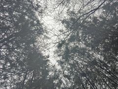 -西安金龙峡风景区