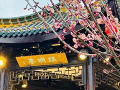 -无锡梅园公园