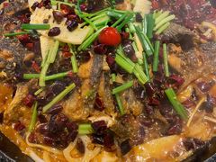 -老板恋上鱼(高新万达店)