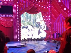 -珠海横琴长隆《卡卡虎奇遇记》