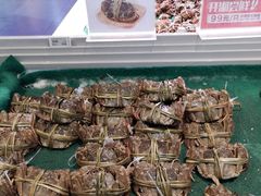 -盒马鲜生(大成店)