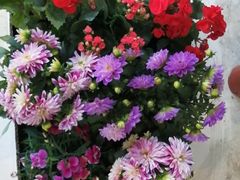 -渔米粥(罗湖店)