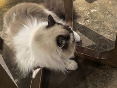 -咖法森林·咖啡  酒吧(天河店)