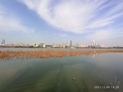 -月湖风景区