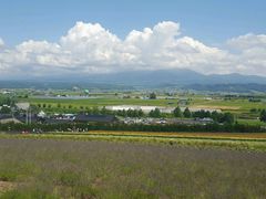 -富田农场