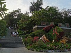-仙岳公园