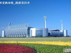 -泰达足球场
