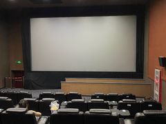 -华谊兄弟影院(IMAX洋桥店)